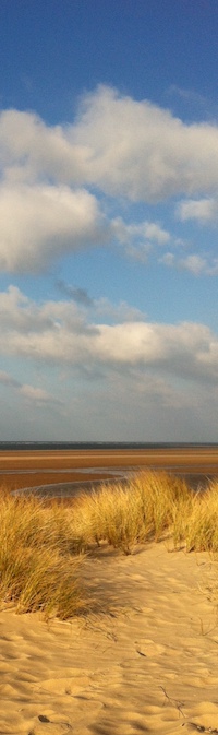 Holkham beach, Norh Norfolk coast. image Copyright Andrew Cook 2020