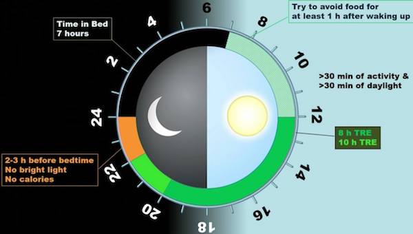 Salk Institute - relationship between diet and the circadian clock